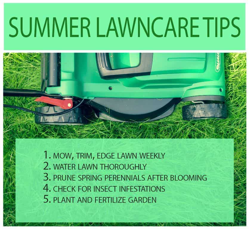 lawn care tips for summer