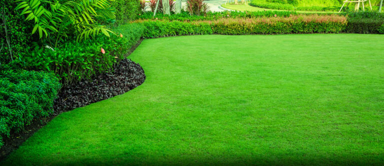 what is lawn maintenance