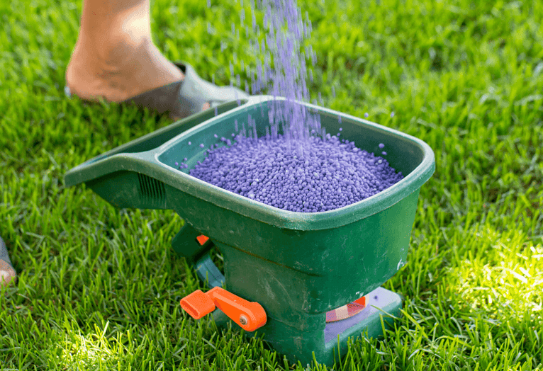 lawn fertilizer for late summer