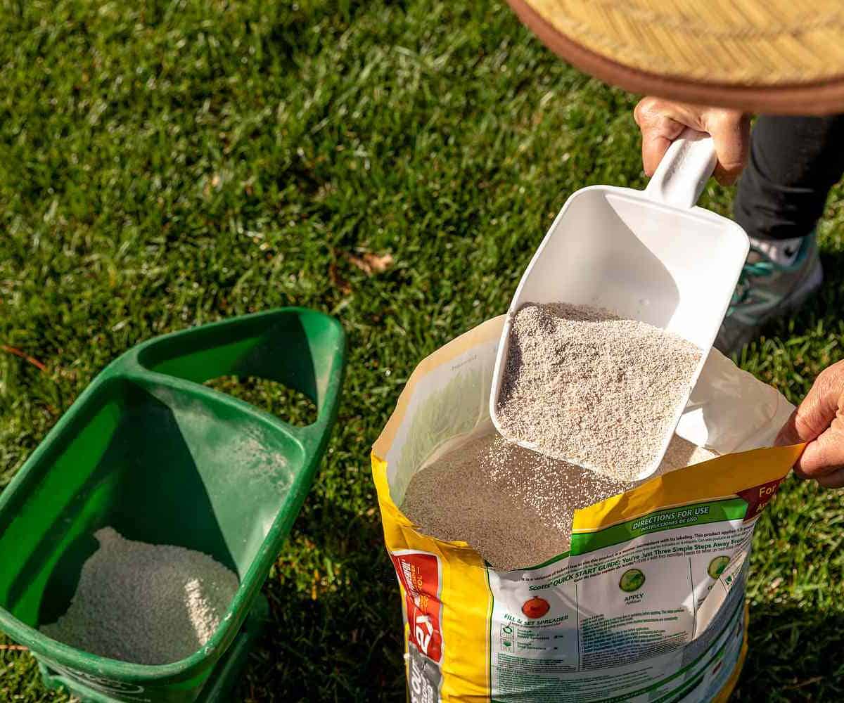 Late Spring Fertilizer: How to Feed Your Lawn