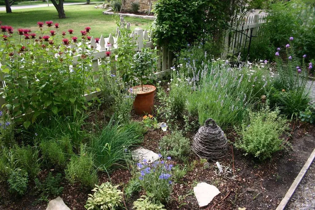 Front Yard Herb Garden: Transform Your Outdoor