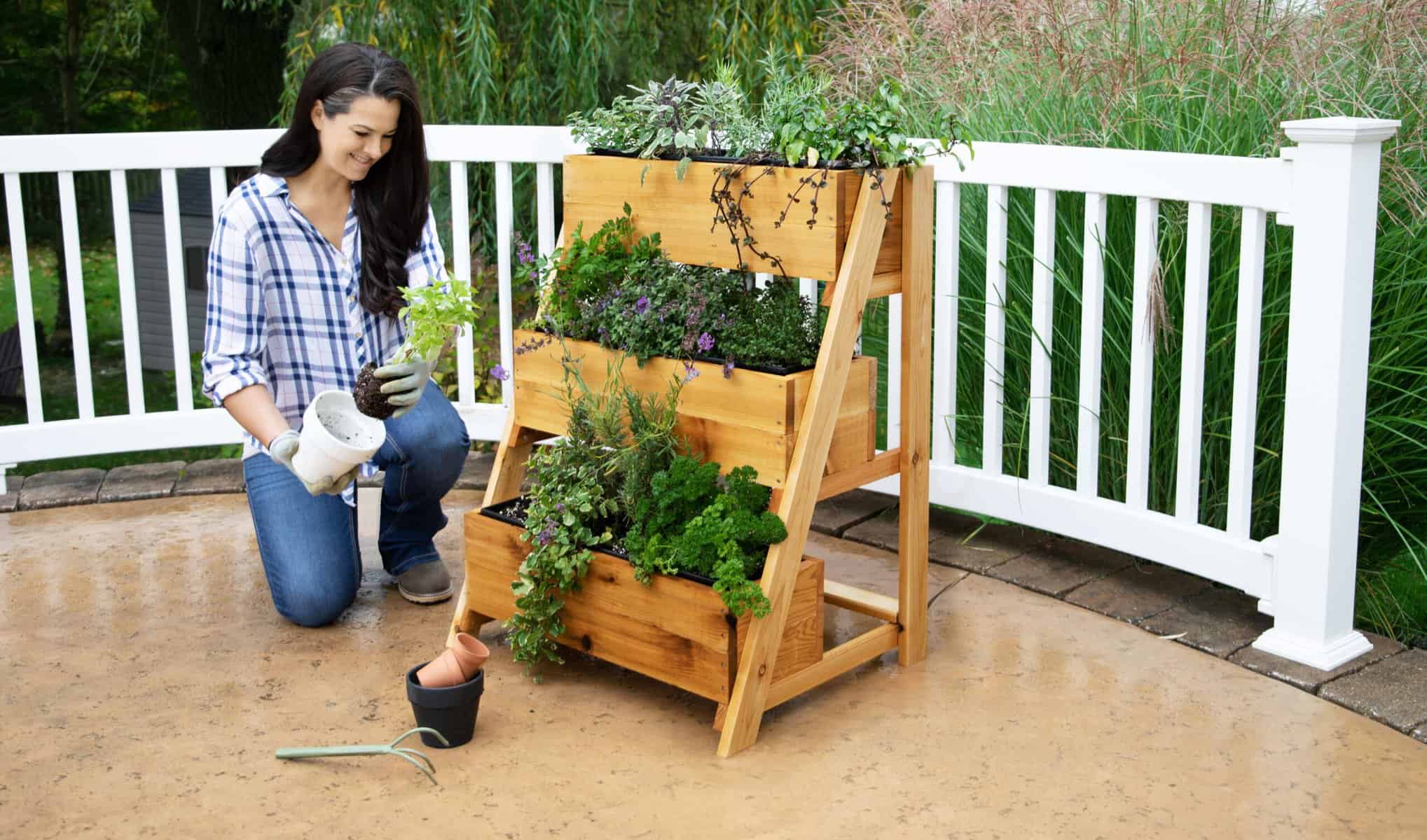 Planter Box for Herbs: Fresh Flavors at Home