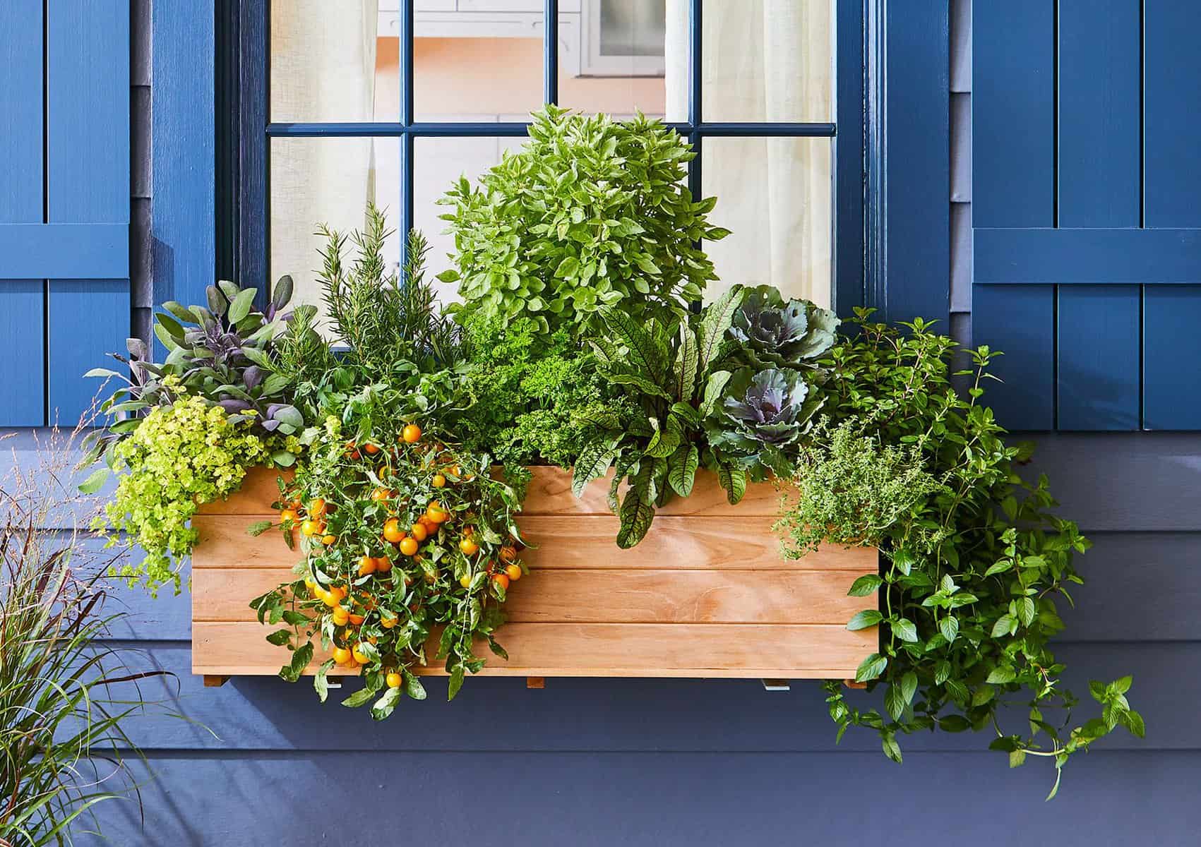 Window Box Herb Garden: Elevate Your Space