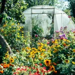 What Flowers to Plant In Vegetable Garden