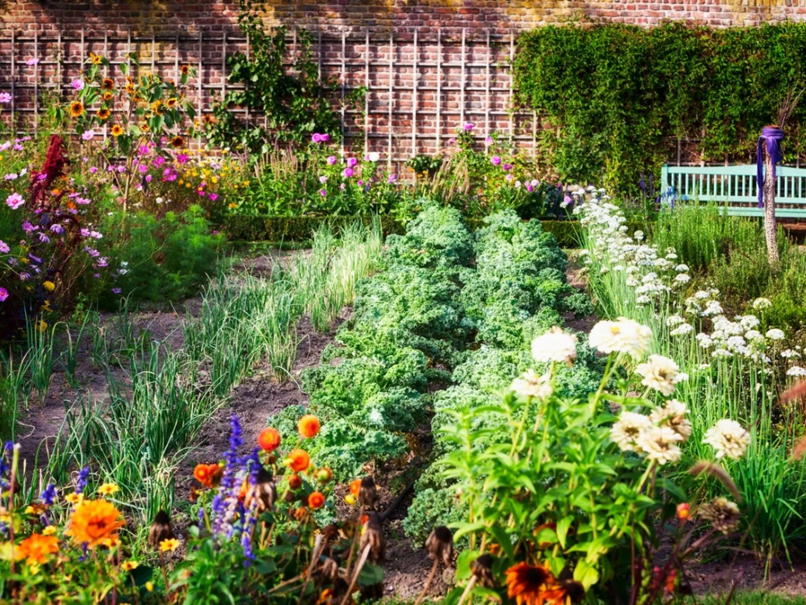 What Flowers to Plant In Vegetable Garden