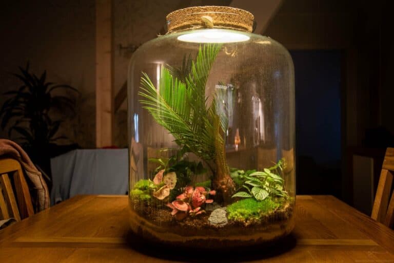 terrariums